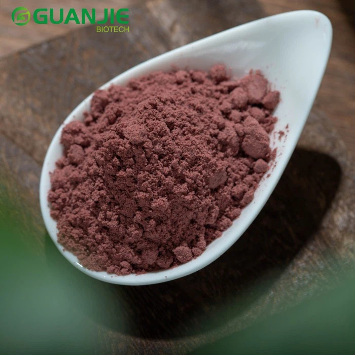 Black Currant Powder Black Currant Powder