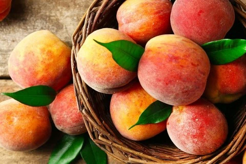 Bulk Freeze Dried Peach Powder Bulk Freeze Dried Peach Powder